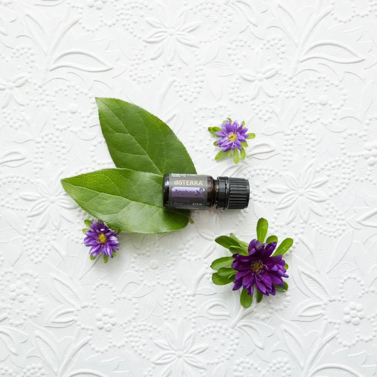 Frasco de Mezcla Anchor dōTERRA 5ml sobre superficie blanca texturizada con hojas verdes y flores moradas