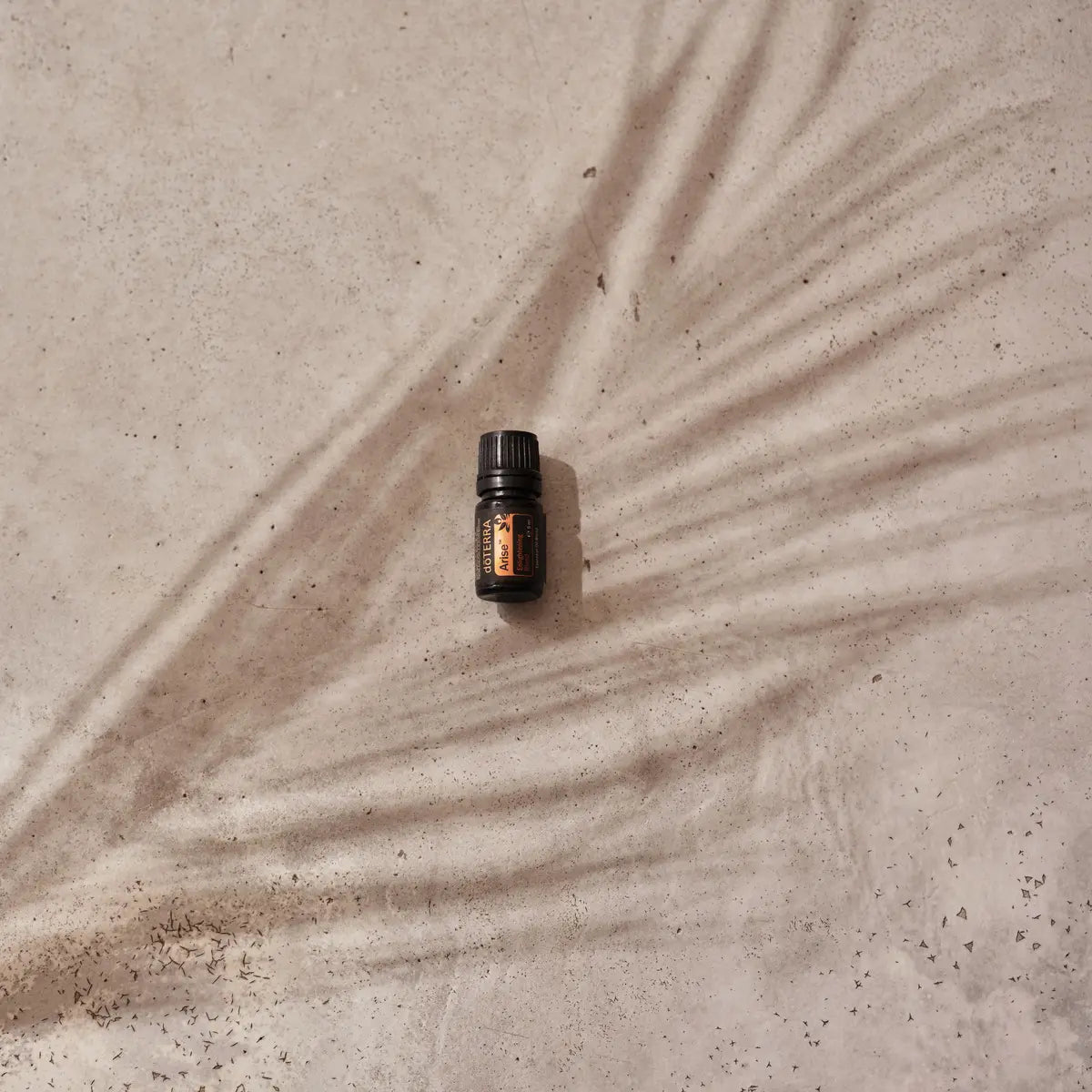 Mezcla dōTERRA Arise 5ml — frasco sobre hormigón con sombra de hoja de palma, vista cenital