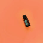 Mezcla dōTERRA Balance 15ml — frasco inclinado sobre fondo naranja coral, vista cenital