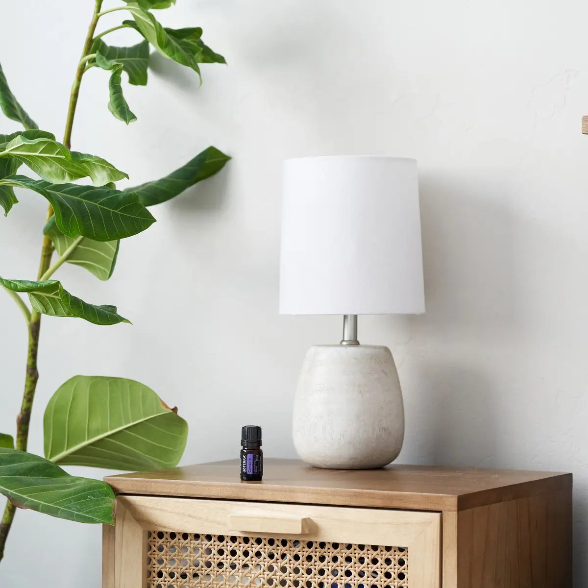 Mezcla dōTERRA Console 5ml — frasco sobre mesita de ratán con lámpara cerámica y planta ficus en interior
