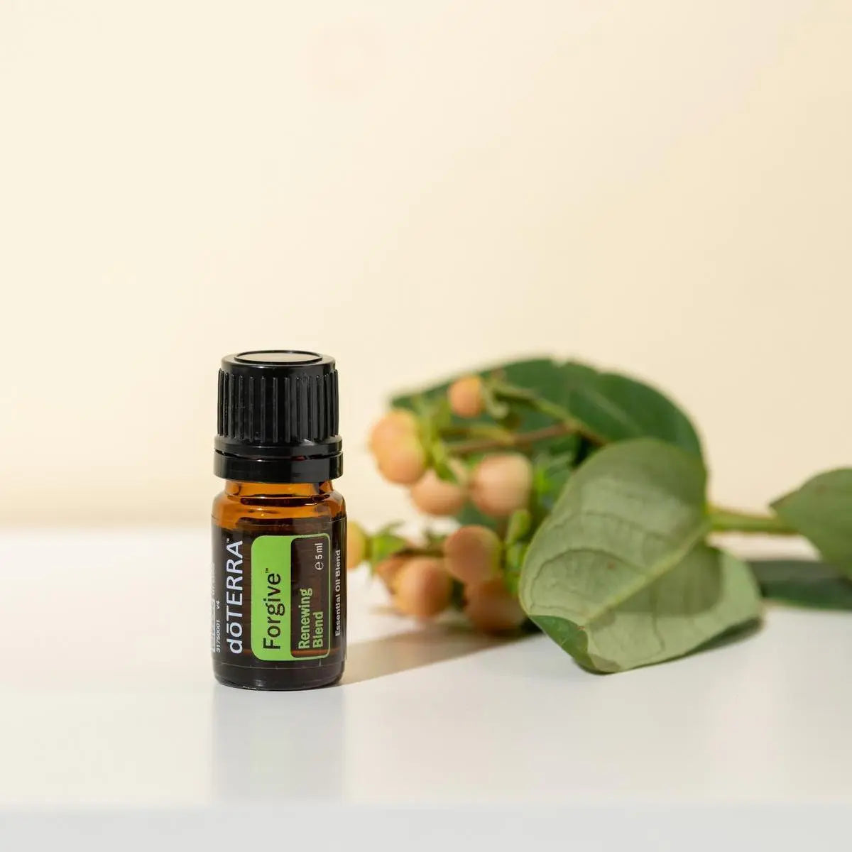 Mezcla dōTERRA Forgive 5ml — estudio beige con ramas de eucalipto y bayas naranjas