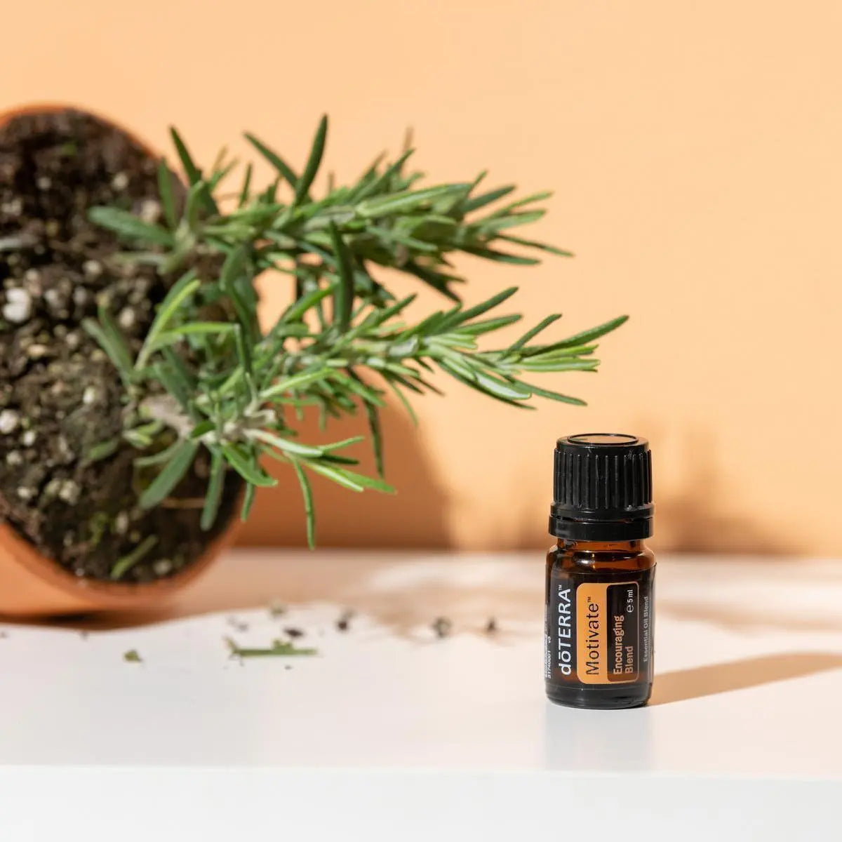 Mezcla dōTERRA Motivate 5ml — frasco junto a maceta de terracota con romero sobre fondo melocotón