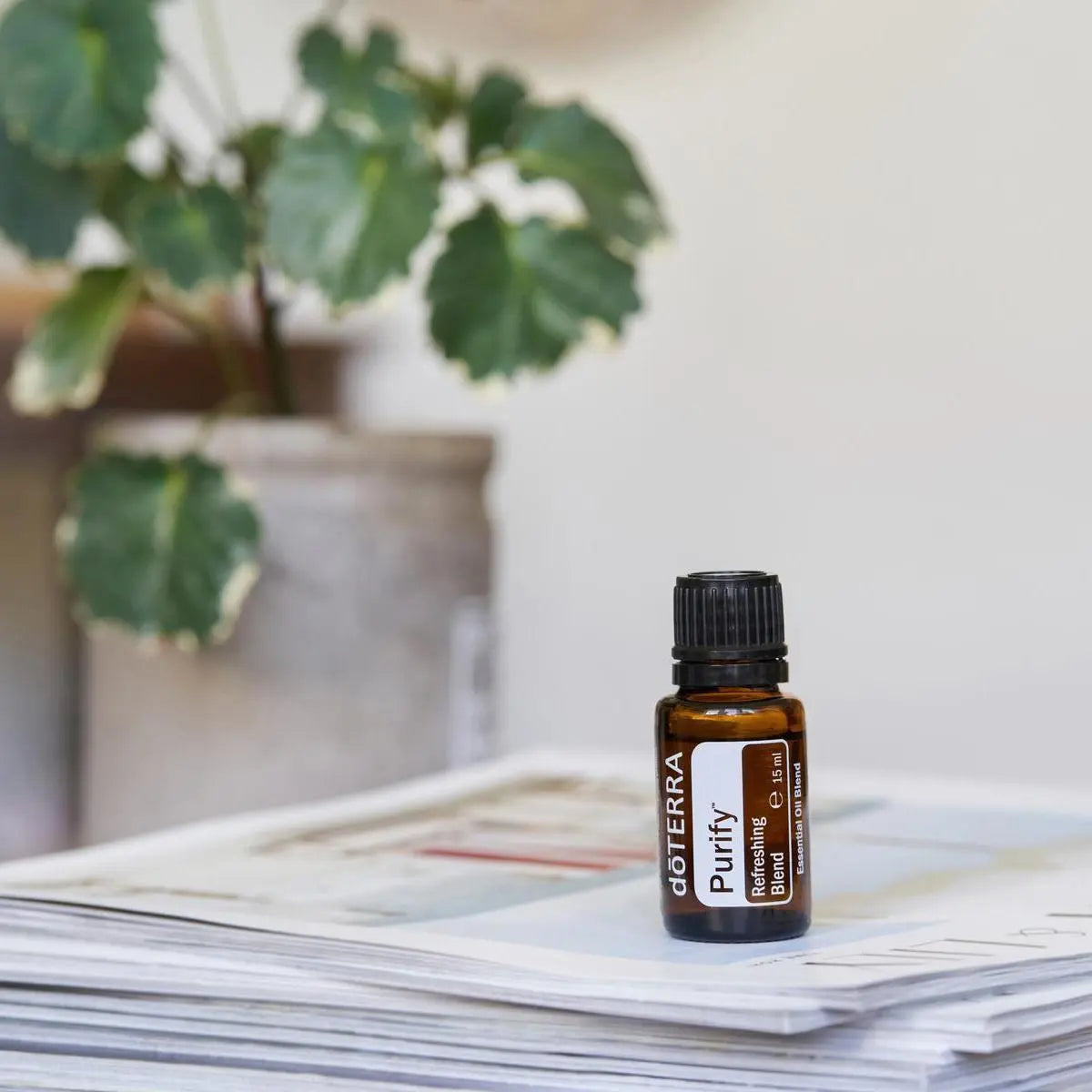 Mezcla dōTERRA Purify 15ml — frasco sobre pila de revistas con planta pothos en maceta gris en interior