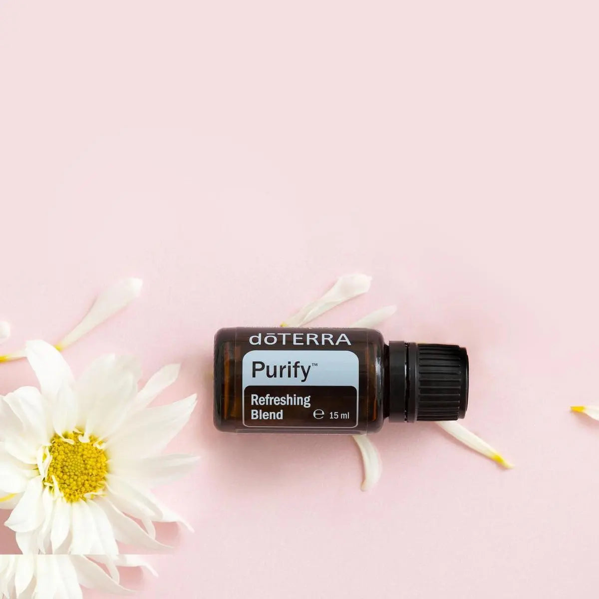 Mezcla dōTERRA Purify 15ml — frasco tumbado entre pétalos de margarita blanca sobre fondo rosa, vista cenital