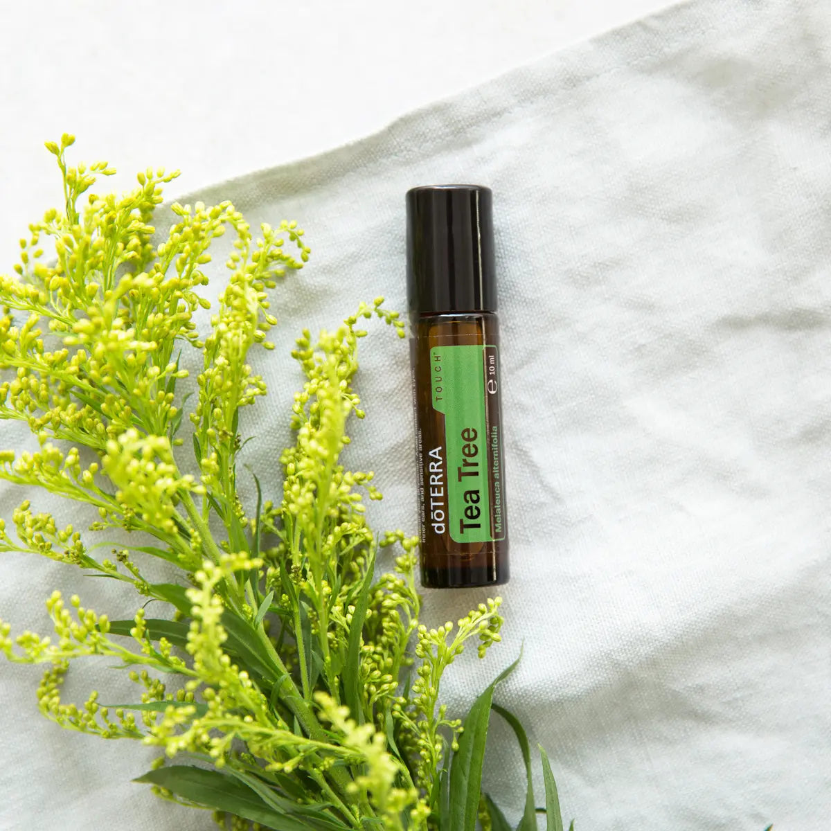 Árbol de Té Touch dōTERRA 10ml con flores de solidago amarillas sobre tela de lino blanco cenital