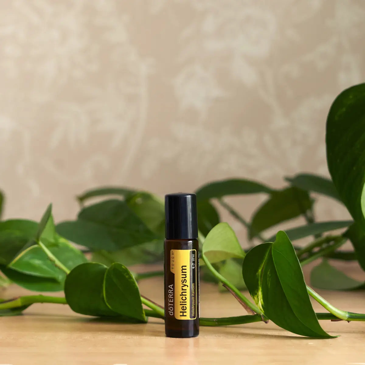 Roll-on Helichrysum Touch dōTERRA 10ml — mano sosteniendo el frasco en escena botánica