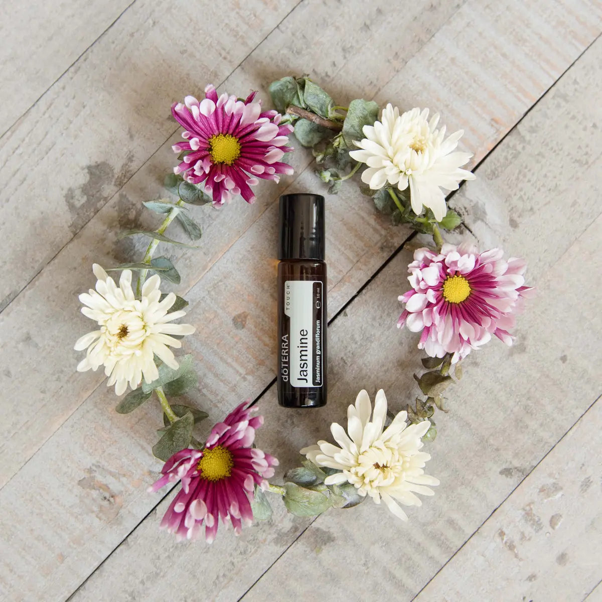 Jazmín Touch dōTERRA 10ml en corona de crisantemos blancos y malvas sobre madera vista cenital