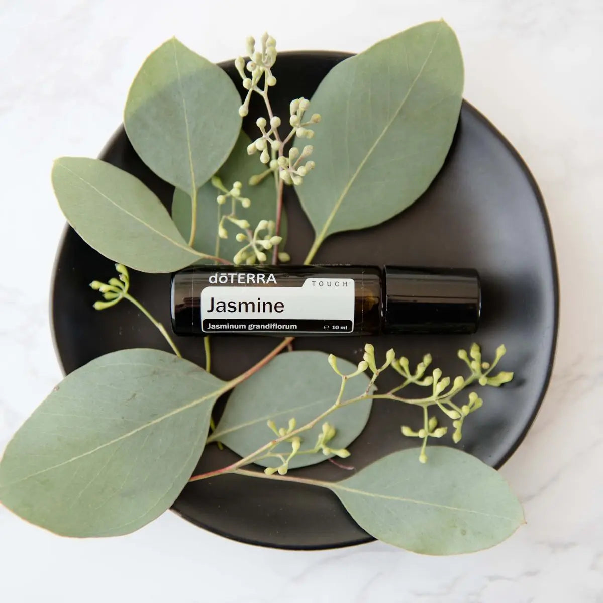 Jazmín Touch dōTERRA 10ml en plato negro con ramas de eucalipto sobre mármol