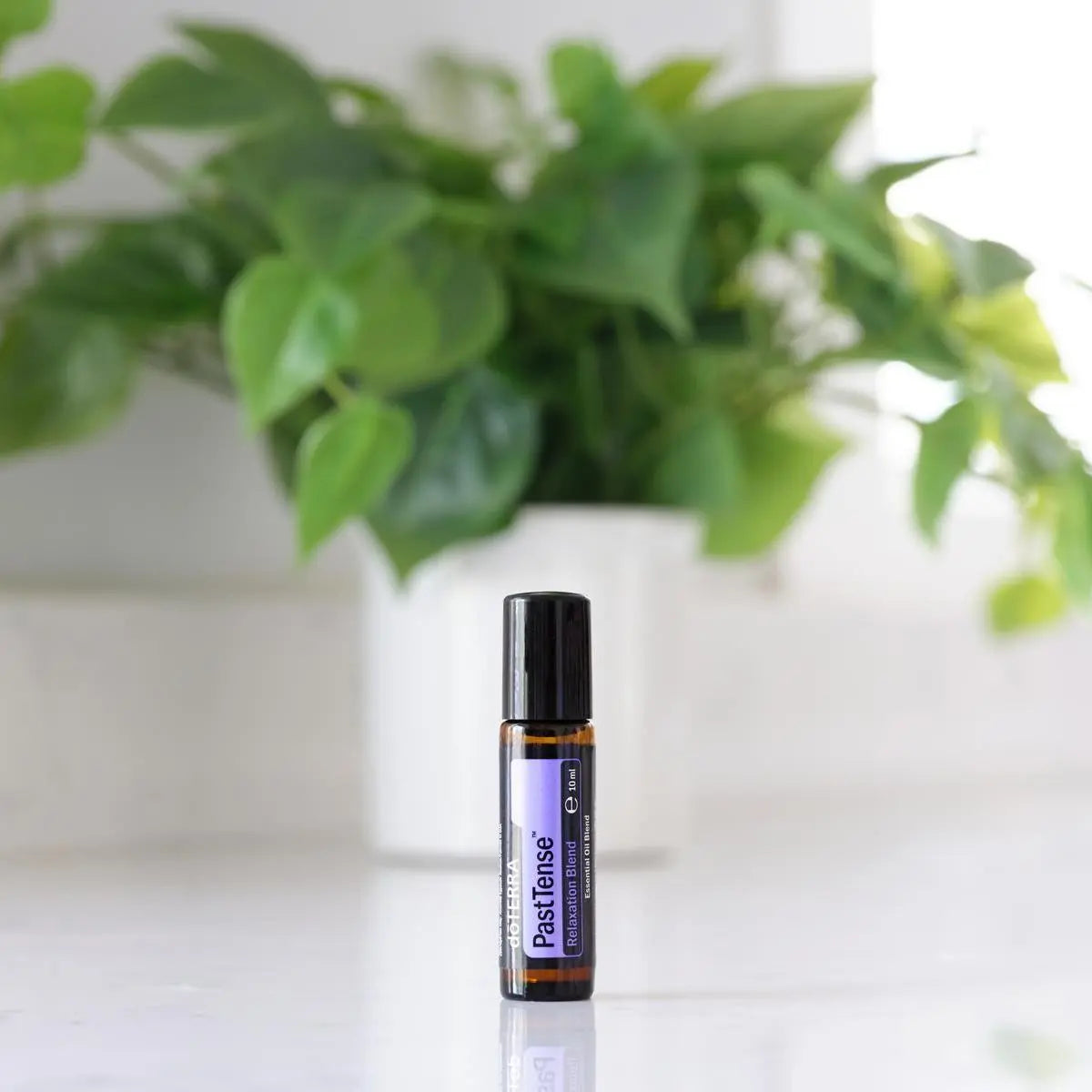 Roll-on PastTense dōTERRA 10ml — frasco sobre encimera blanca junto a planta pothos
