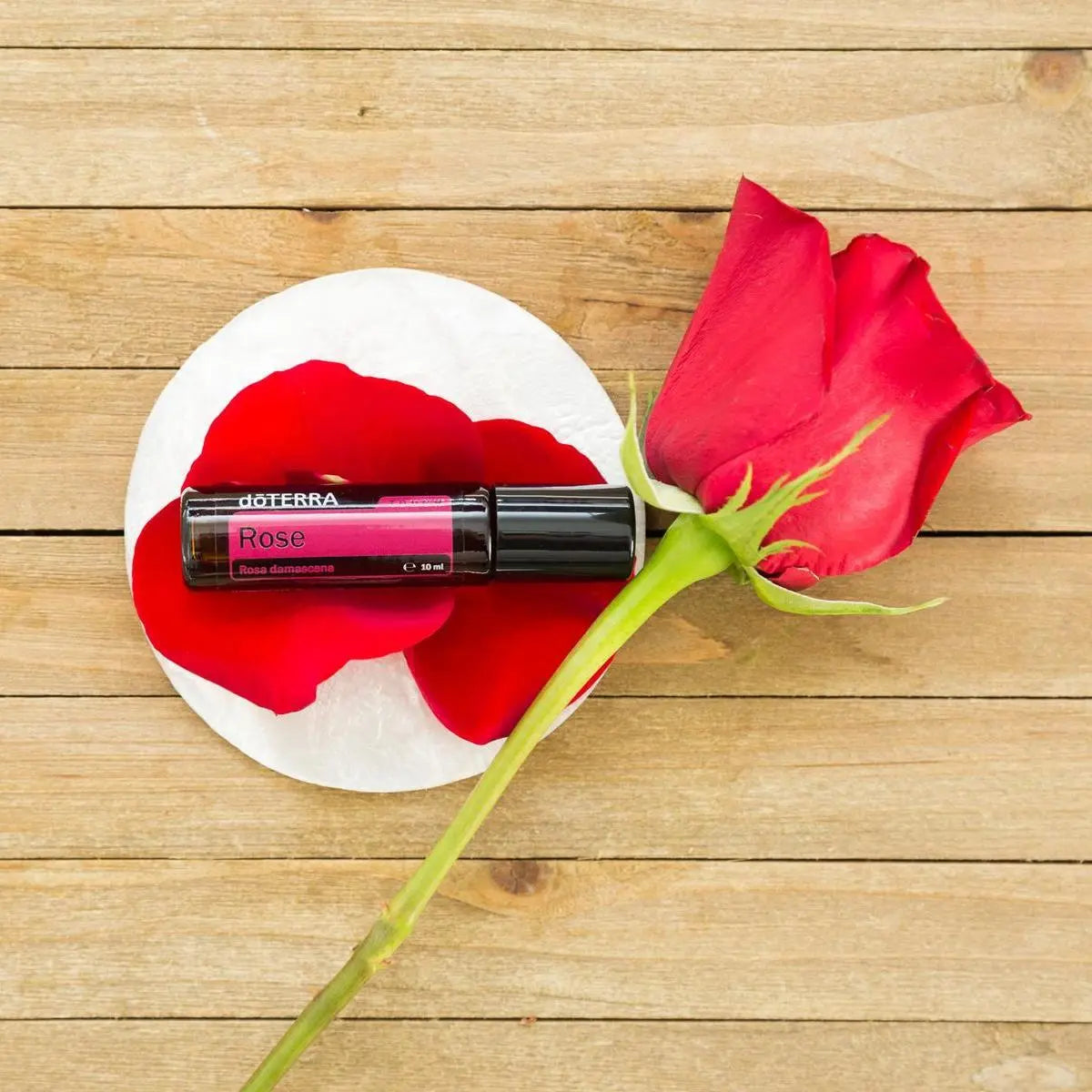 Rosa Touch dōTERRA 10ml en posavasos blanco con rosa roja y pétalos sobre madera cenital