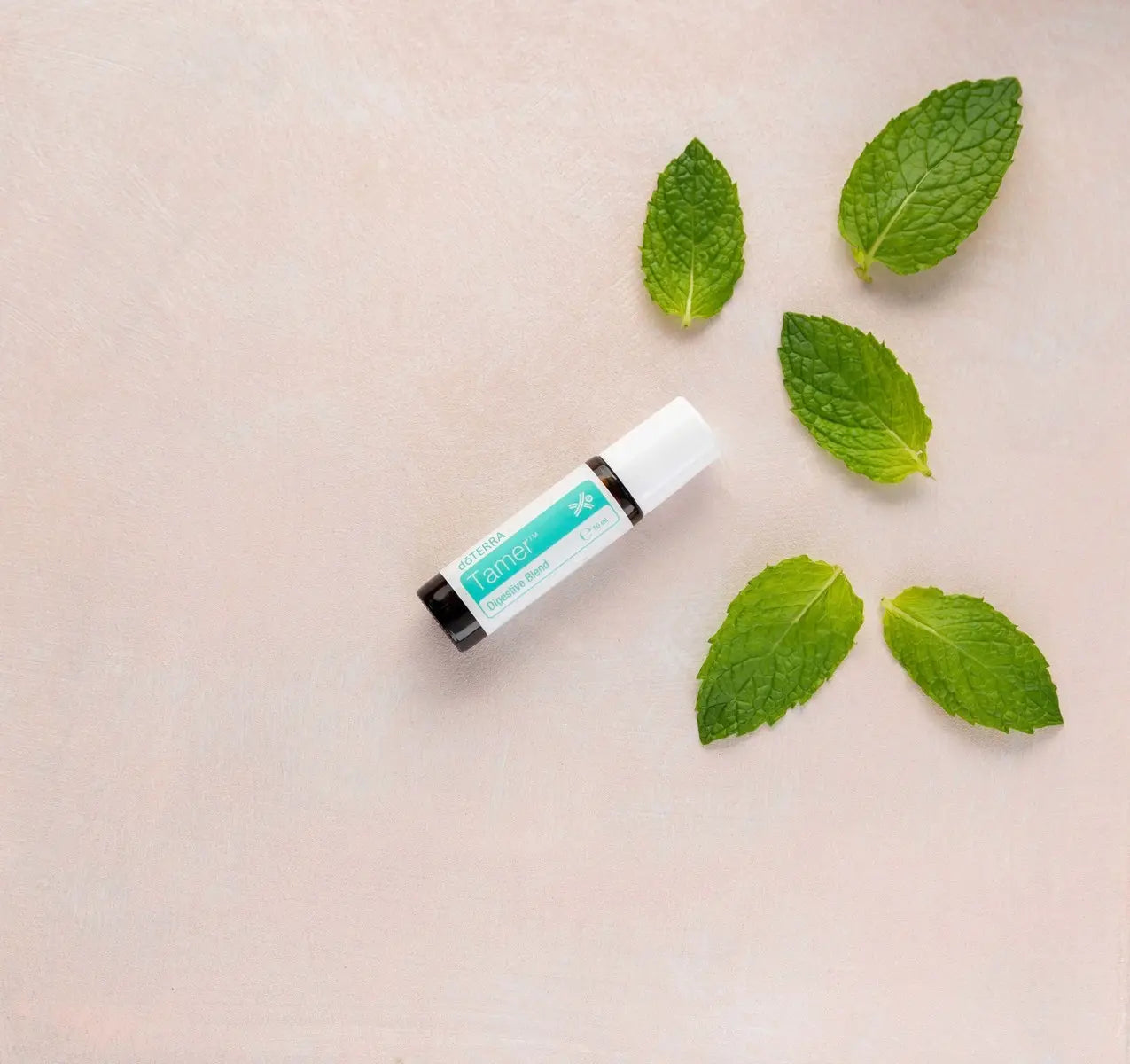 Roll-on Tamer dōTERRA 10ml — frasco en diagonal sobre hojas de menta, vista cenital con rosa palo