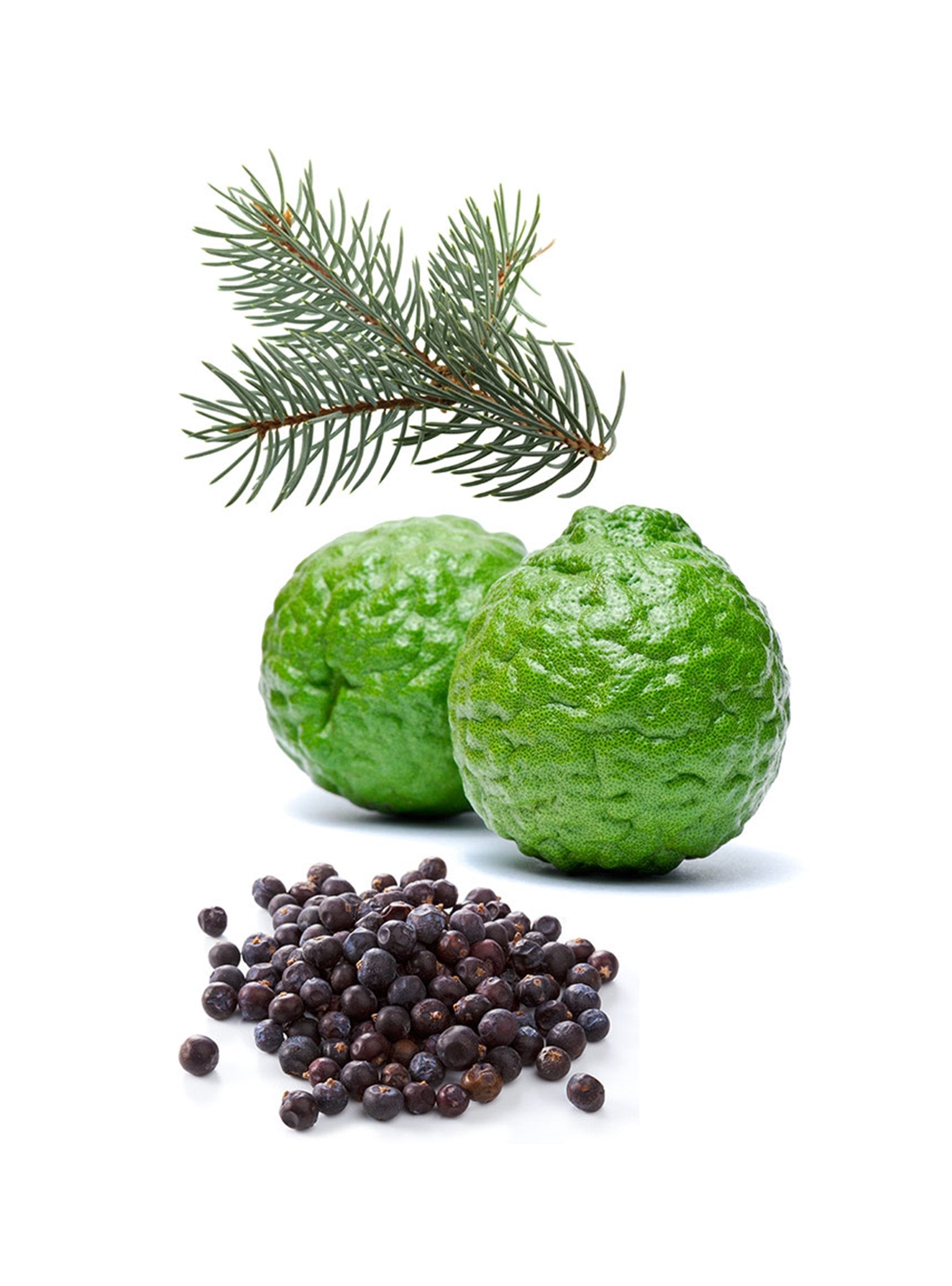 Óleo Essencial Forgive® | 5ml - Mistura Renovadora online na EVOdaTERRA