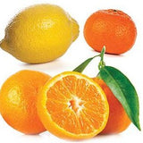 Aceite Esencial Citrus Bliss | 15 ml dōTERRA