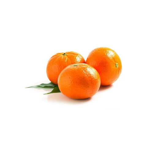 botanica tangerina doterra na bien esencial