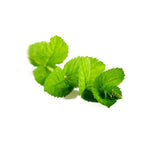 Compre Aceite Esencial Peppermint 15 ml doterra - bien-esencial