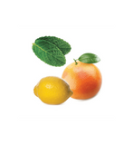 Compre Cápsulas Smart and Sassy® | 90 Unds online na EVOdōTERRA